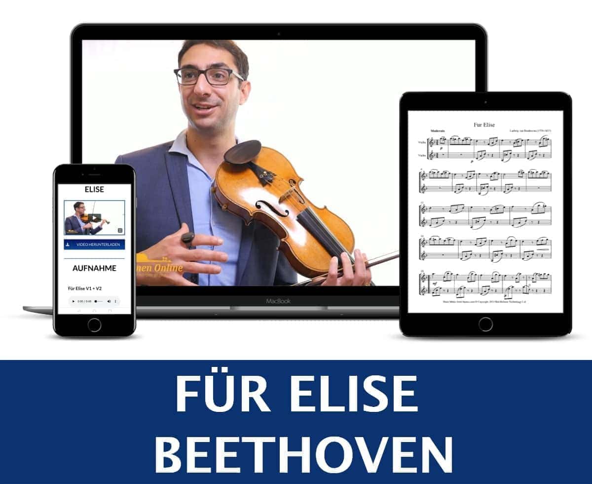 Geigenakademie Geige online lernen