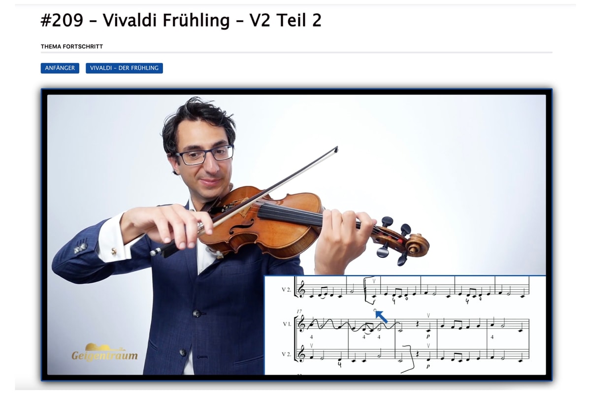 Erwachsene Geige spielen lernen